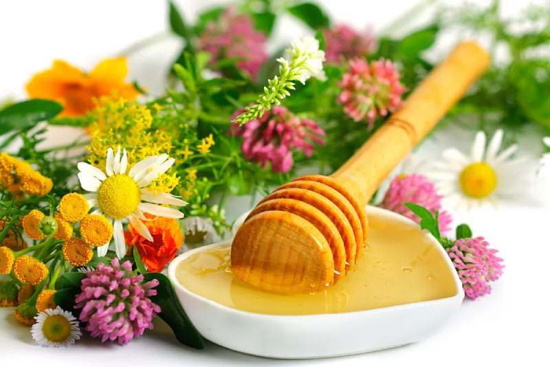 قیمت عمده عسل چند گیاه ارگانیک + خرید عالی